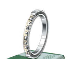 INA CSXF100 bearings